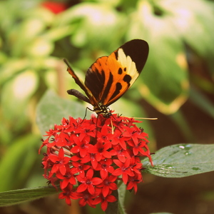 Fundraising Page: Owen Probst